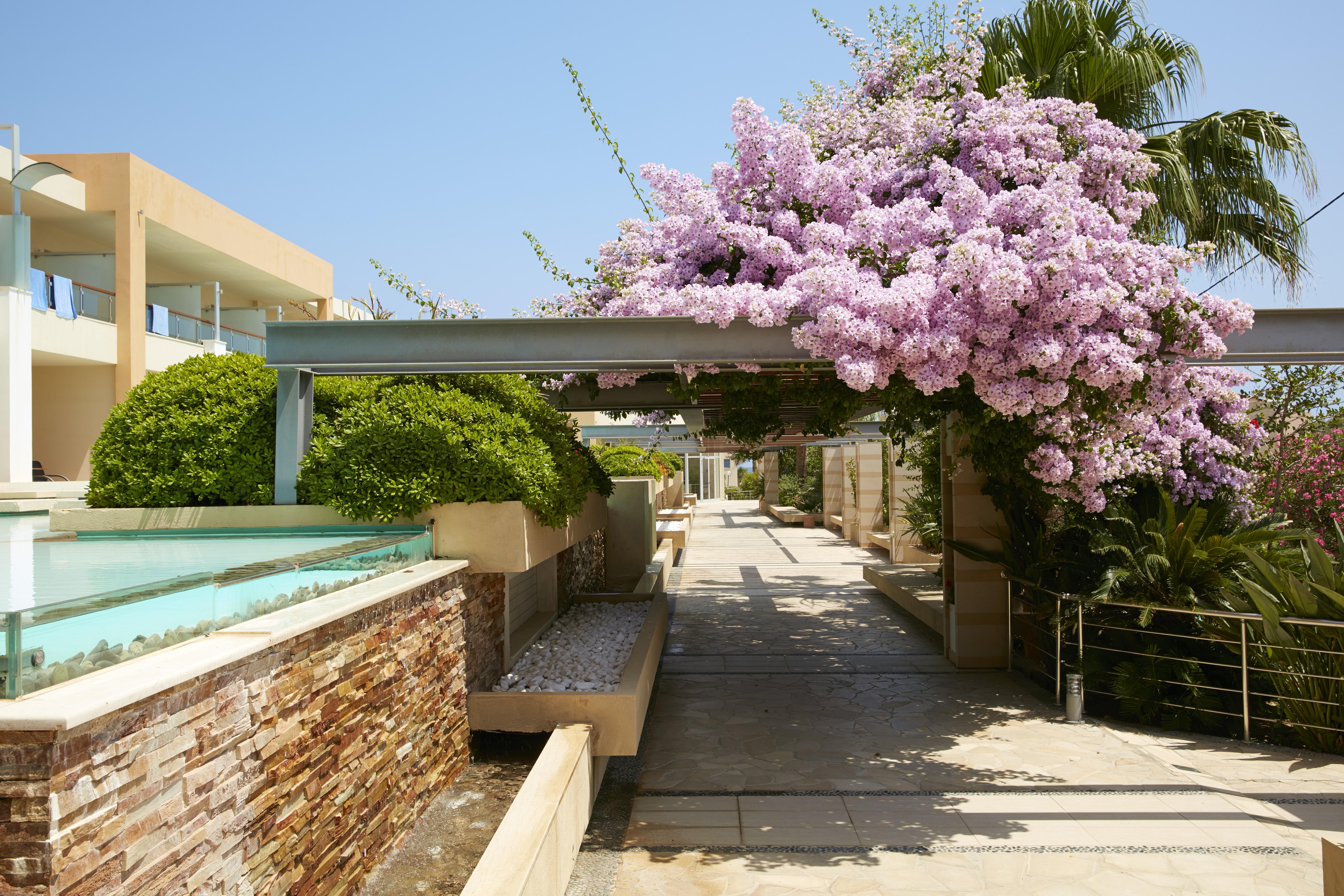 Minoa Palace Resort Platanias Exterior foto